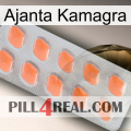 Ajanta Kamagra 26